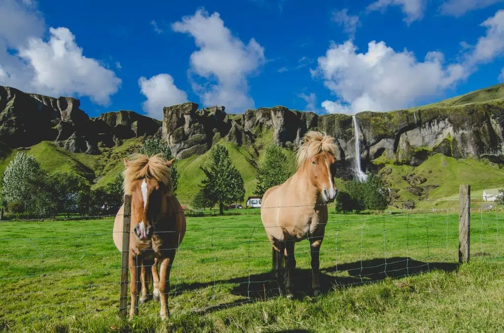 Why You Should Visit Bangar Granshough: Top Attractions and Experiences