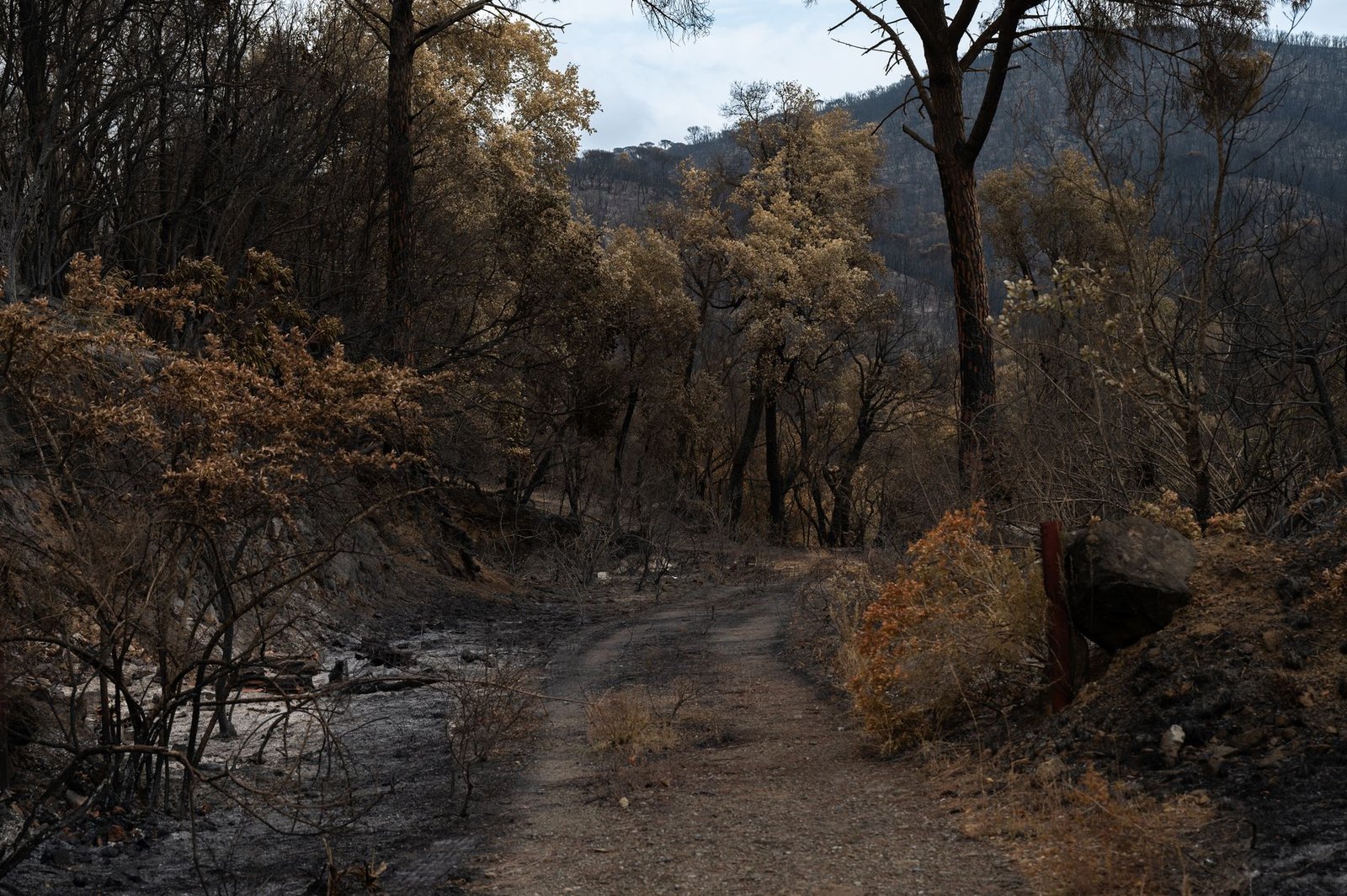 BLM Stage 2 Fire Restrictions: Critical RV Generator & Boondocking Rules