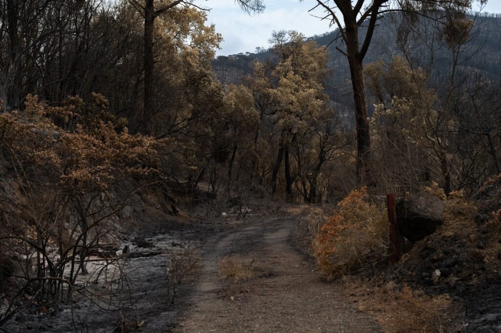 A pickup truck towing a travel trailer during a wildfire evacuation under a smoky orange sky. practical detail